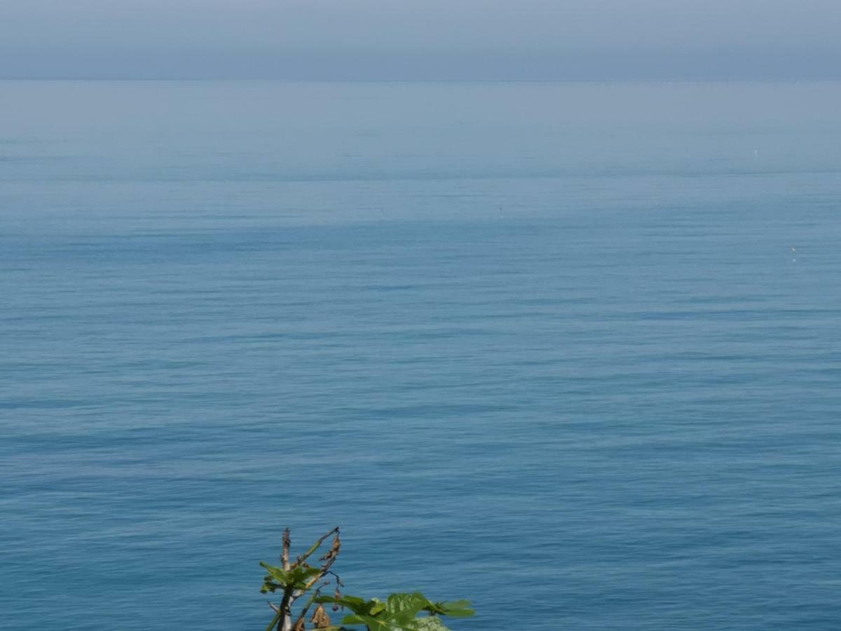 Vacanze Al Mare Appartamento In Villa Torino di Sangro Dış mekan fotoğraf
